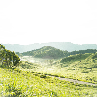 I Miss You Front Cover