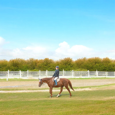 LVMHのジャケット写真