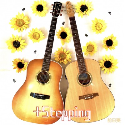 +Stepping Front Cover