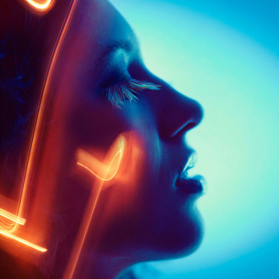 fahrenheit vers la flamme Front Cover