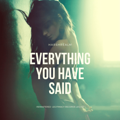 everything you have said Front Cover