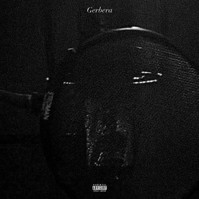 Gerbera Front Cover
