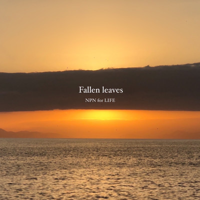 Fallen leaves Front Cover