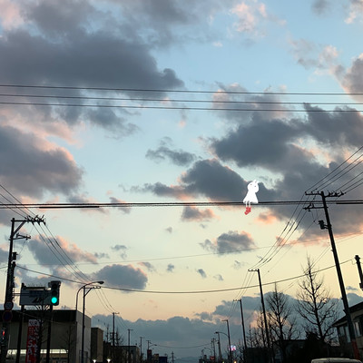 sceneのジャケット写真