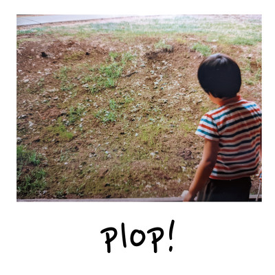 plop! Front Cover