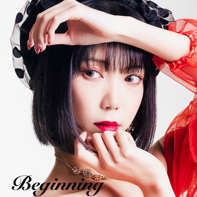 Beginning Front Cover