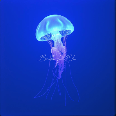 Breathe In Blue Front Cover