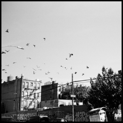 SCRATCH TAPE 1 Front Cover