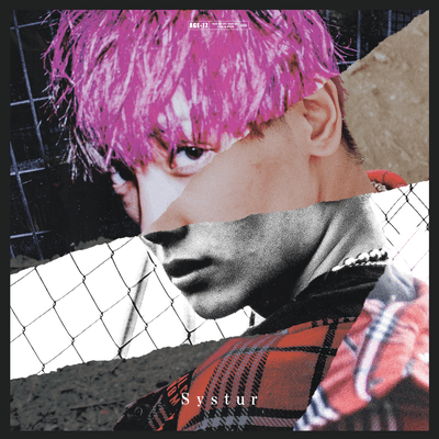 systurのジャケット写真