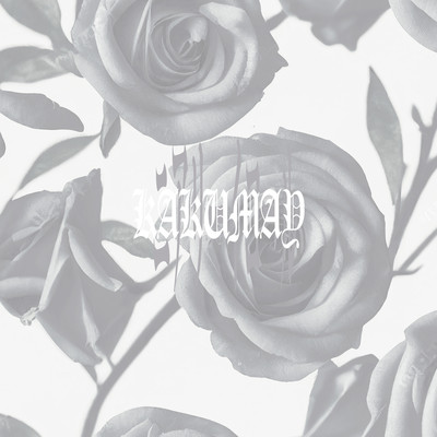 ニアリー イコールのジャケット写真