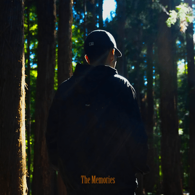 The Memories Front Cover