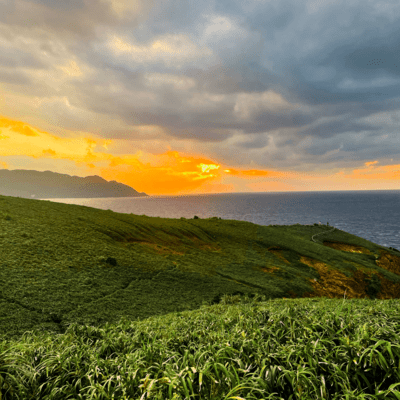 このたびはのジャケット写真