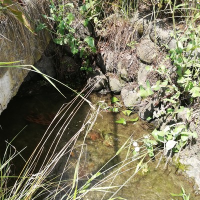 美しい村のジャケット写真