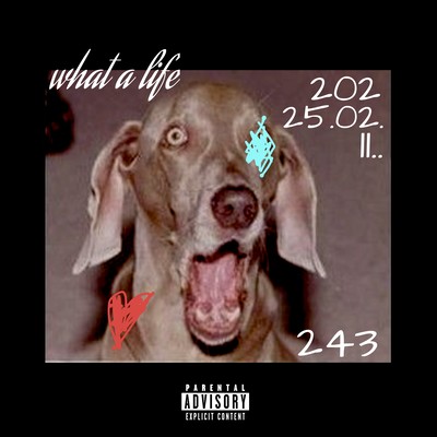 What a lifeのジャケット写真