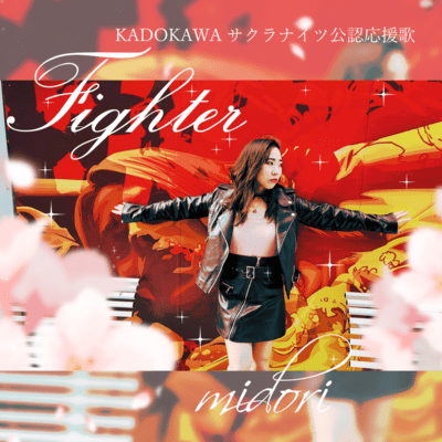 Fighter Front Cover