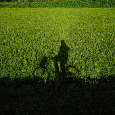 The blues in my heart Front Cover