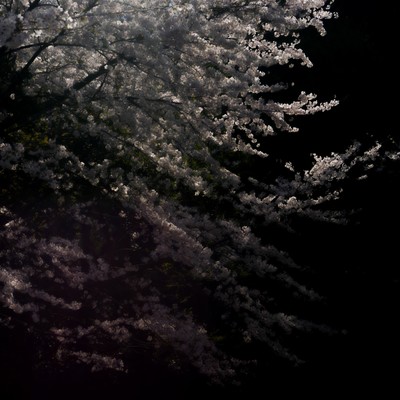 Spring Storm Front Cover