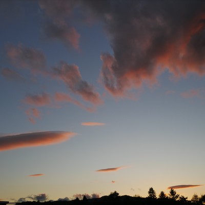 Parking lot behind the BBQ restaurant Front Cover