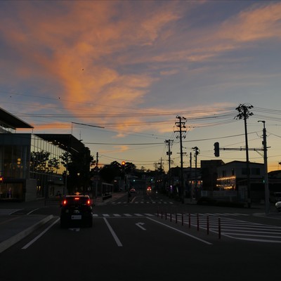Flowers and Rain Front Cover