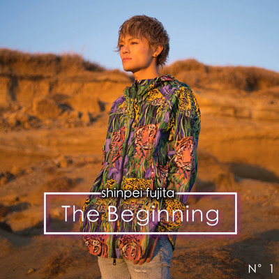The Beginningのジャケット写真
