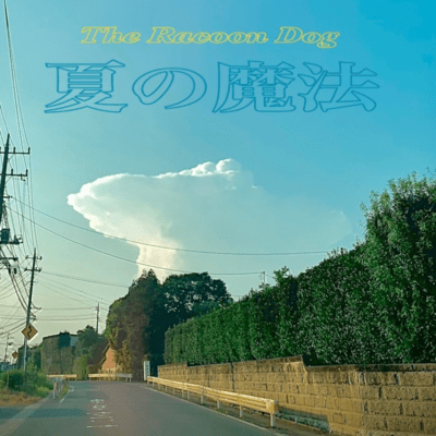 夏の魔法のジャケット写真