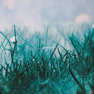MIST Front Cover