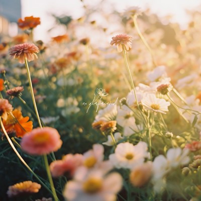 ex girlfriendのジャケット写真