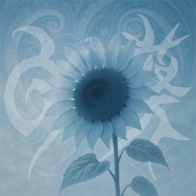 sunflower Front Cover