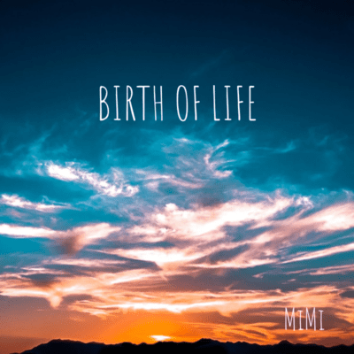 Birth of life Front Cover