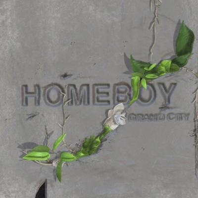 HOMEBOYのジャケット写真