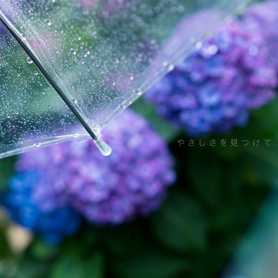 やさしさを見つけてのジャケット写真