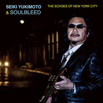 THE ECHOES OF NEW YORK CITY Front Cover