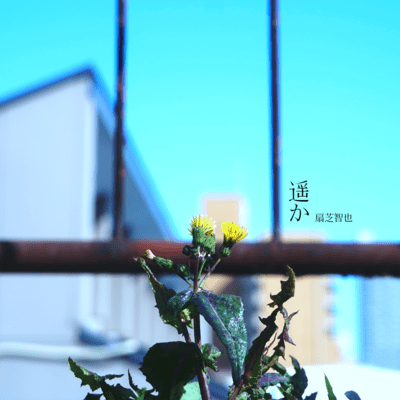 Far Front Cover