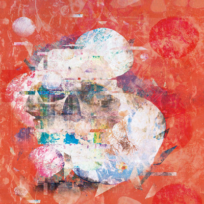 Beautiful Homo sapiens Front Cover