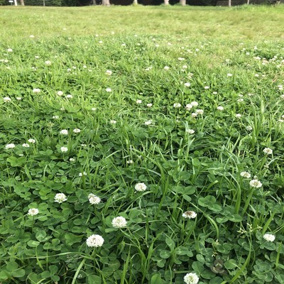 kokokarahajimeyou Front Cover