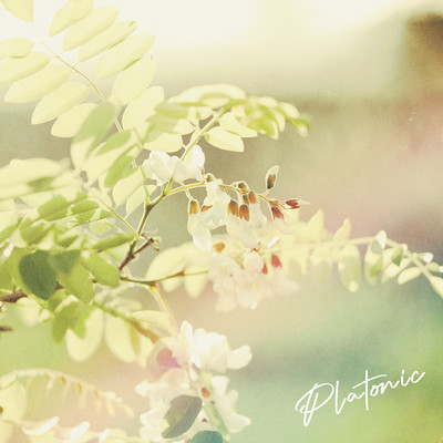 Platonic Front Cover