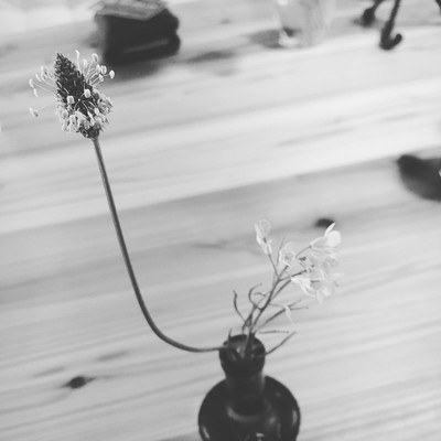 Morning white calm Front Cover