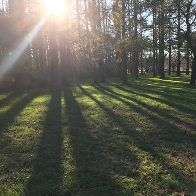 eclosion Front Cover