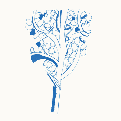 Sketches Front Cover