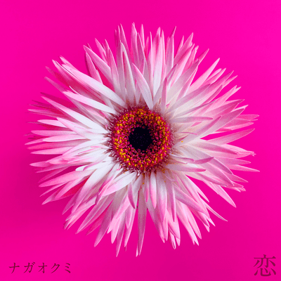 Love Front Cover