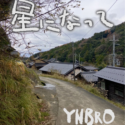 星になってのジャケット写真