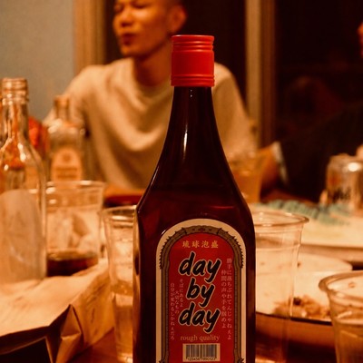 Day by day (feat. u) Front Cover