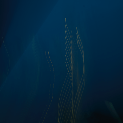 Efficacy Front Cover