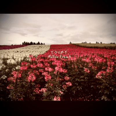 Mellow freak Front Cover