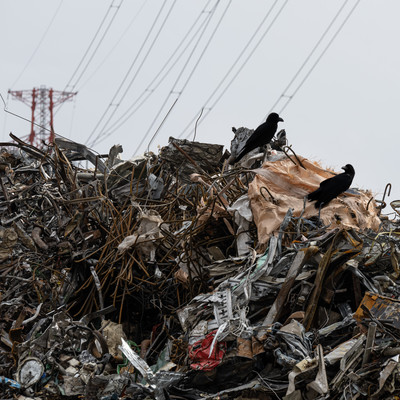 suburban bluesのジャケット写真