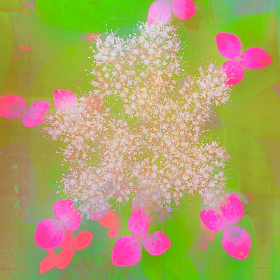 たそかれ (feat. 里咲りさ)のジャケット写真