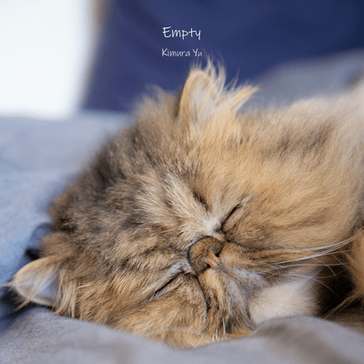 Empty Front Cover