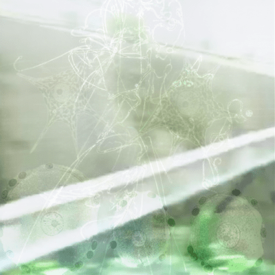 mitosis.のジャケット写真