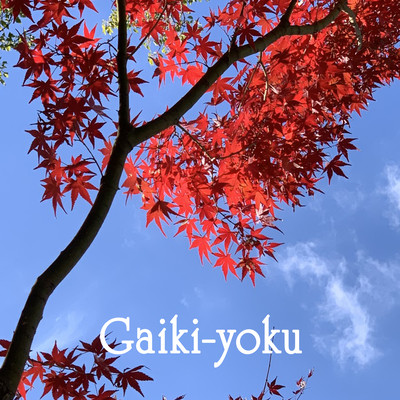 Gaiki-yokuのジャケット写真