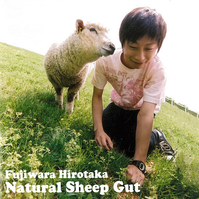 Natural Sheep Gutのジャケット写真